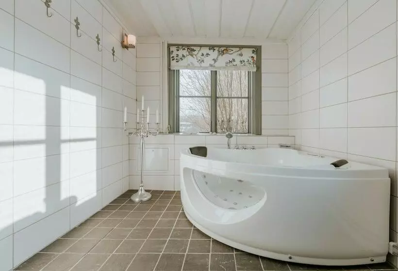 Hotelli Schenströmska Herrgården