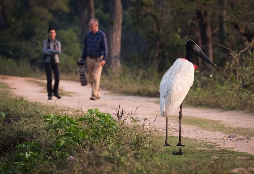 Отель Southwild Pantanal Lodge