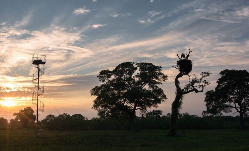 Отель Southwild Pantanal Lodge