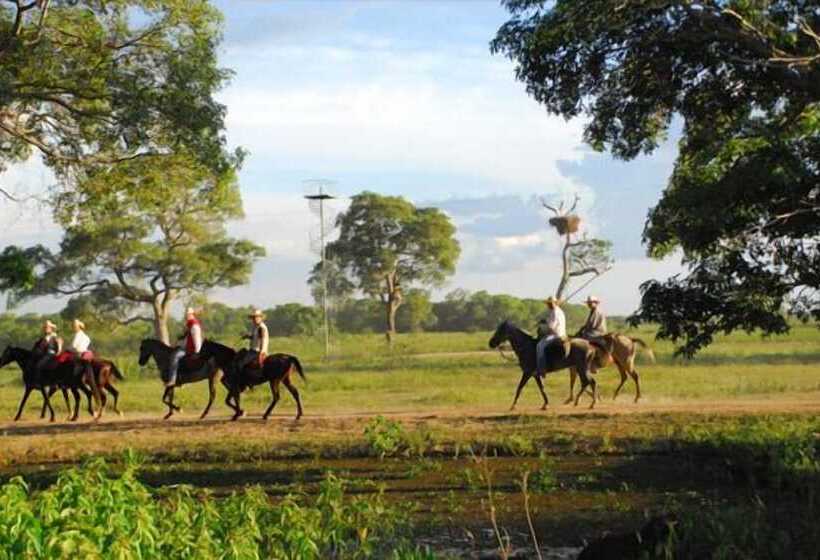 Отель Southwild Pantanal Lodge