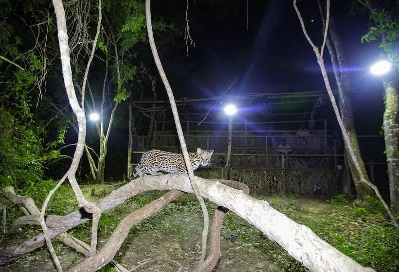 Hotelli Southwild Pantanal Lodge