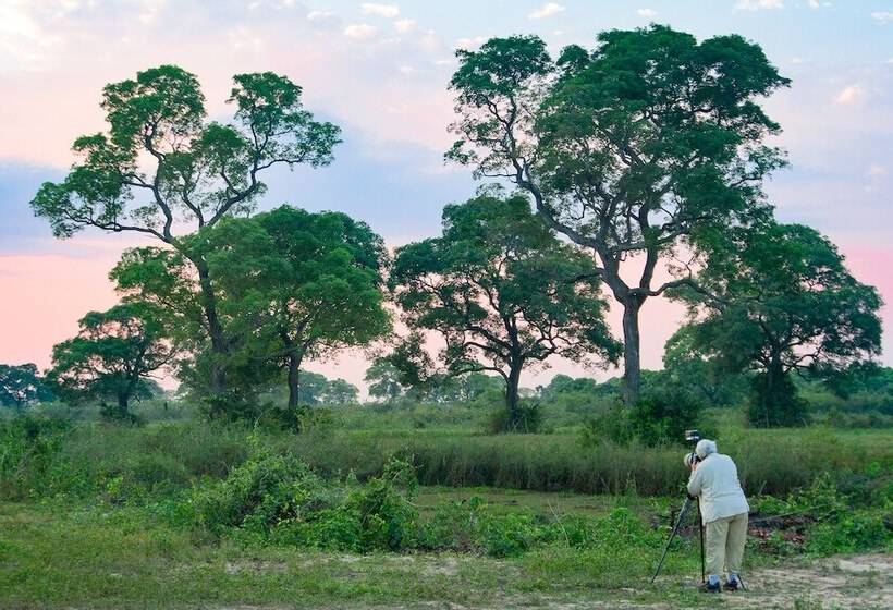 Отель Southwild Pantanal Lodge