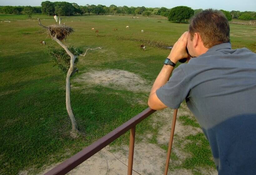 Отель Southwild Pantanal Lodge