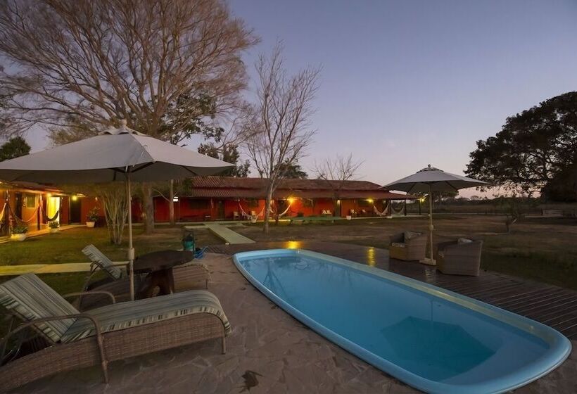 Отель Southwild Pantanal Lodge