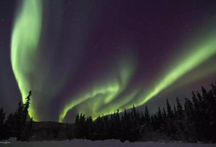 Majatalo Alaska Haven