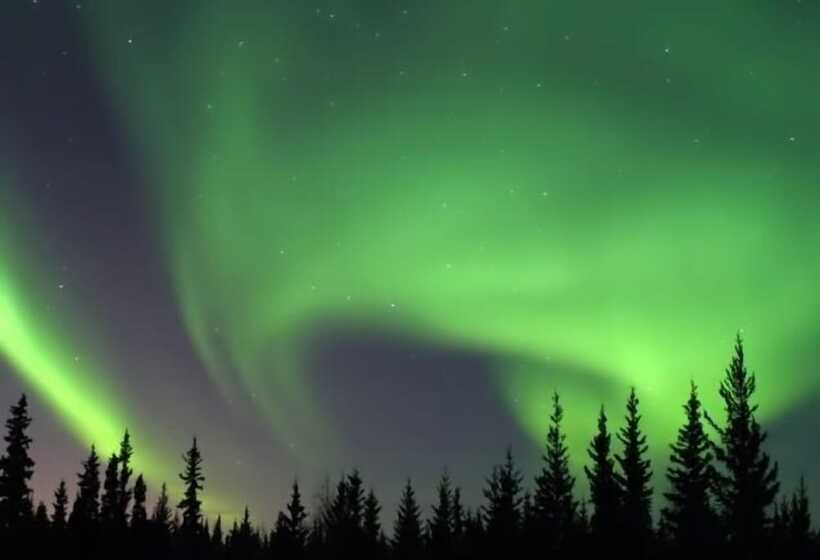 膳宿费 Alaska Haven