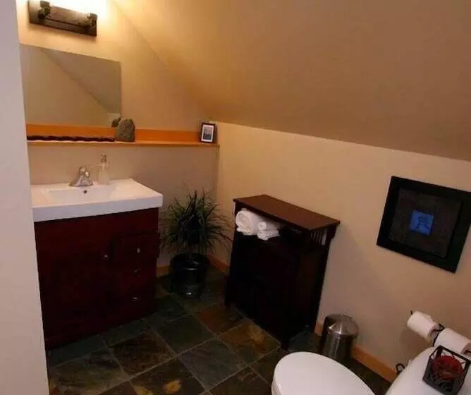 پانسیون Revelstoke Timber Loft B&b
