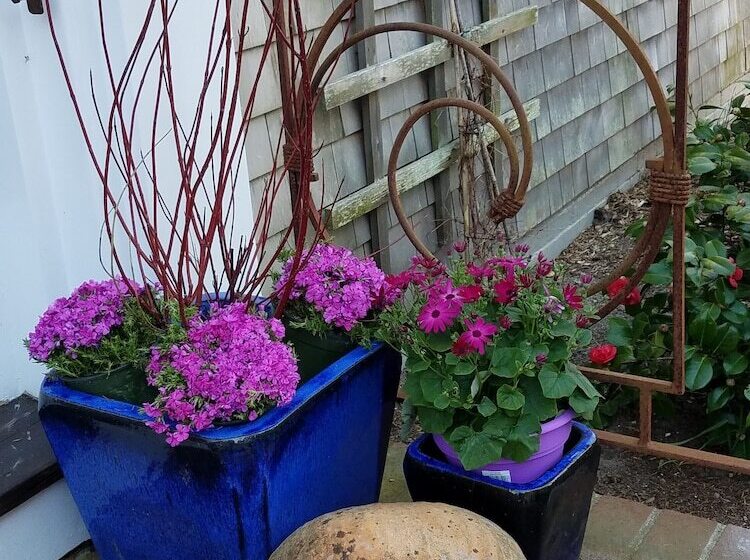 پانسیون The Chestnut House