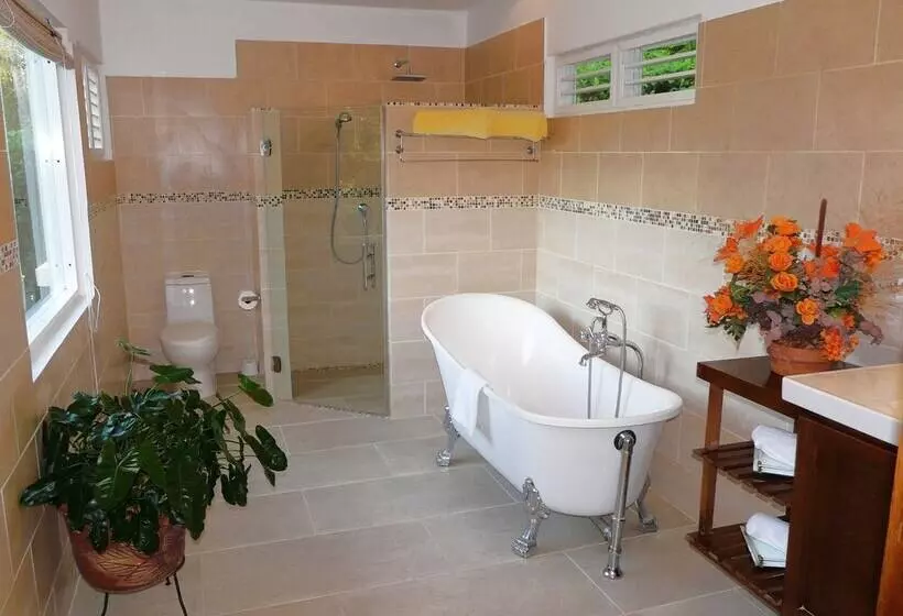 پانسیون Vlc Guesthouse Sosua