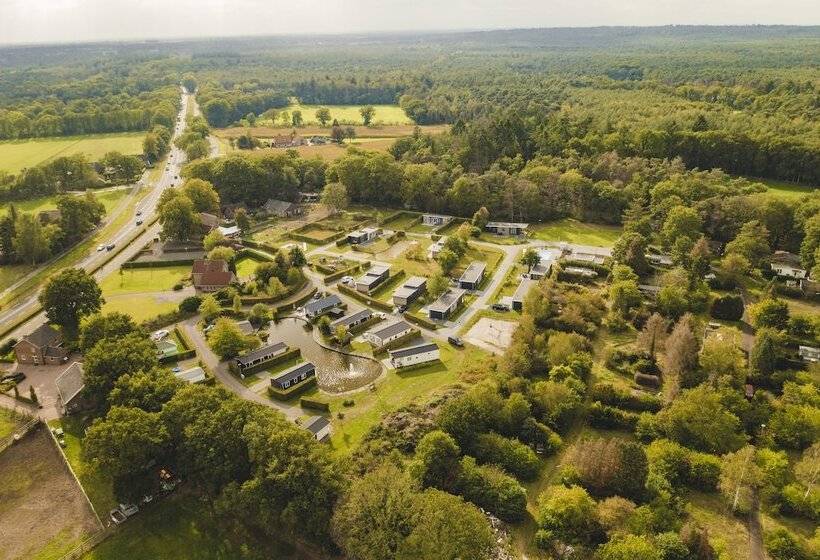 אתר נופש Vakantiepark Buitenplaats Holten