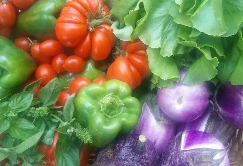 Aamiaismajoitus (B&B) Zagara Di Sicilia