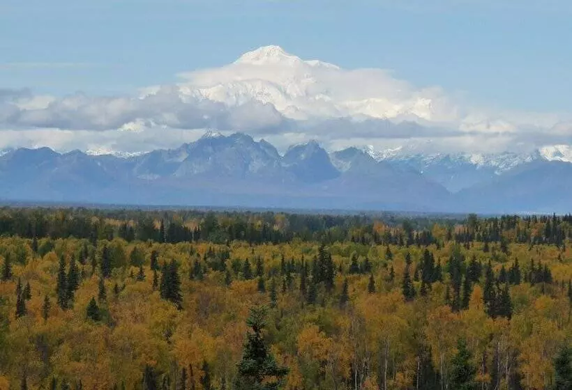 ホテル Denali Overlook Inn