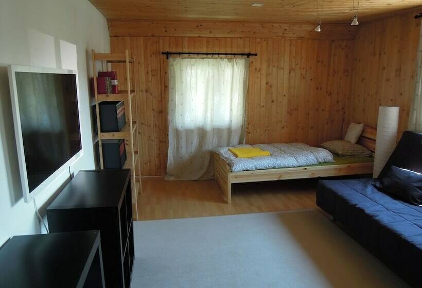 Отель Hostel Bregenz