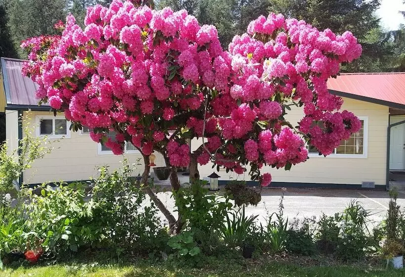 Hotelli Mountain View Lodge   No Pets Allowed