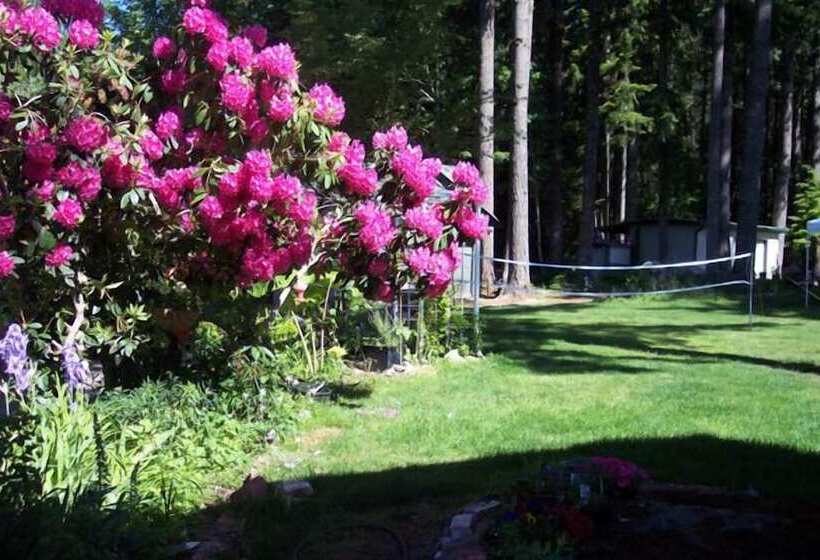 هتل Mountain View Lodge No Pets Allowed