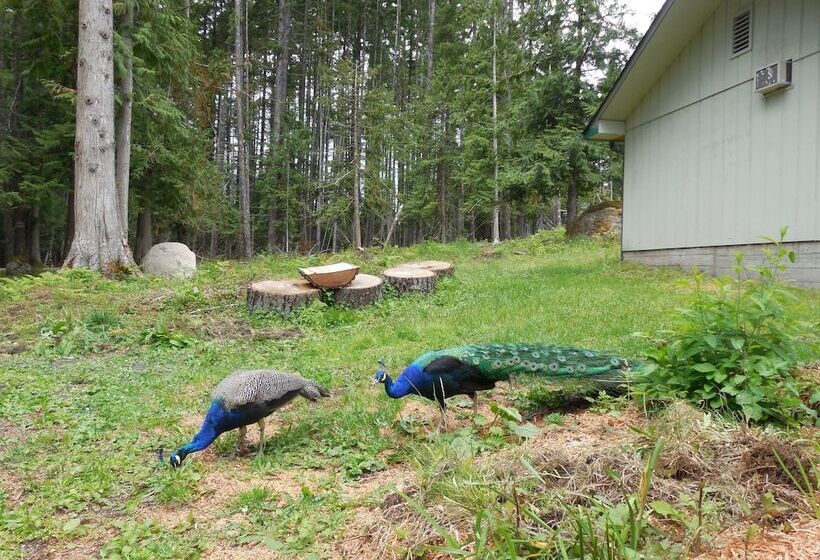 هتل Mountain View Lodge No Pets Allowed