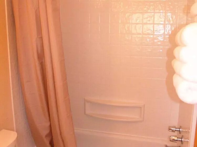 Hotelli Mountain View Lodge   No Pets Allowed