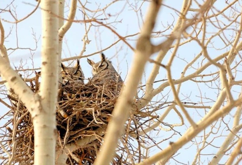 Szálloda Nature's Inn Red Lake