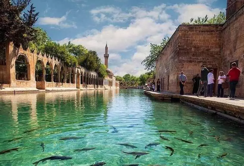 هتل Rehavi Konagi