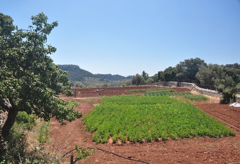 هتل روستایی Agroturismo Sa Campaneta