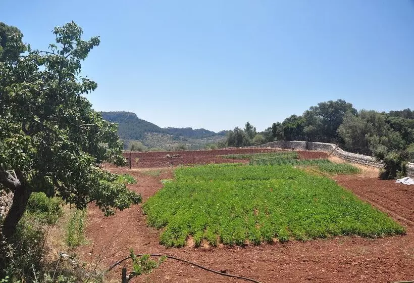 Maaseutuhotelli Agroturismo Sa Campaneta