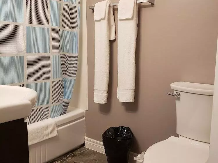 Palace Inn Motel