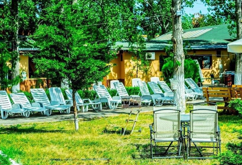 بنسيون Vila Luminita