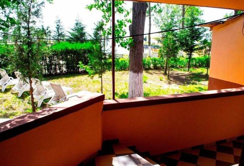 بنسيون Vila Luminita