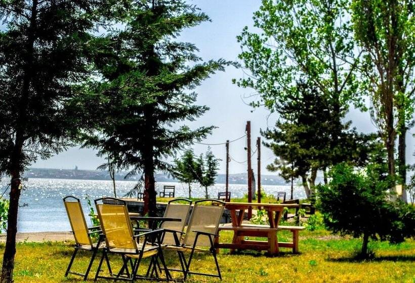 بنسيون Vila Luminita