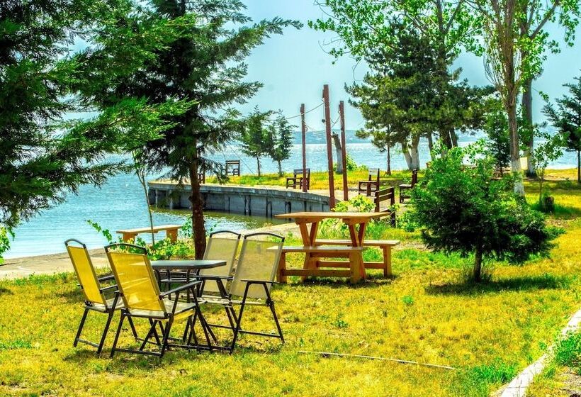 بنسيون Vila Luminita