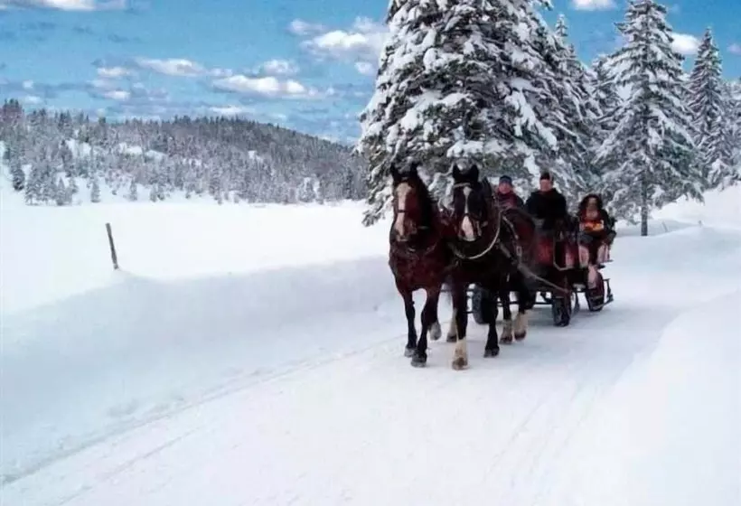 Hotel Alpenrose Traditionsgasthof Mittenwald
