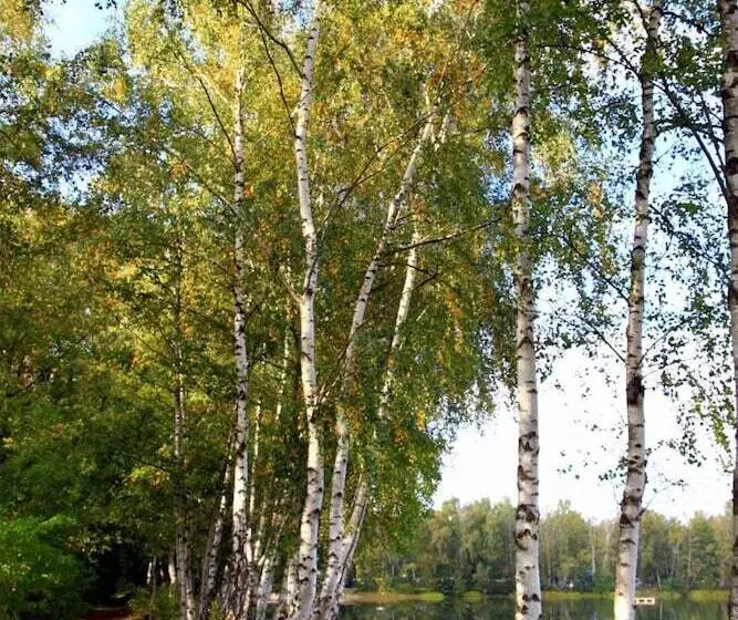 Отель Am Springhorstsee