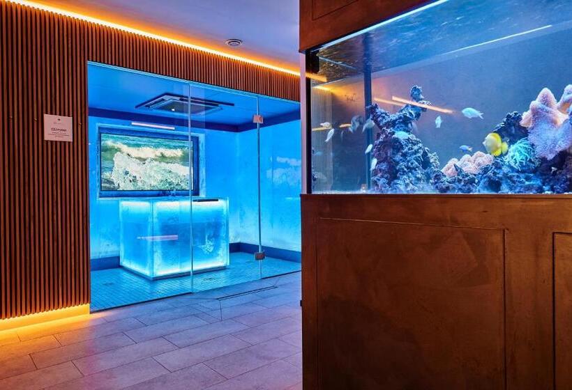 فندق Der Birkenhof Spa & Genuss Resort