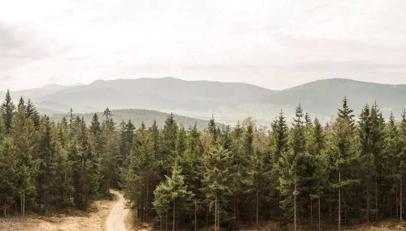 Hotel Kolmsteiner Hof