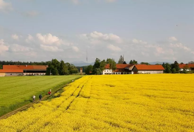 Отель Pension Bernhardhof