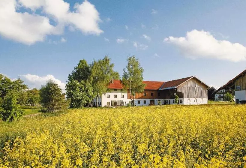 Отель Pension Bernhardhof