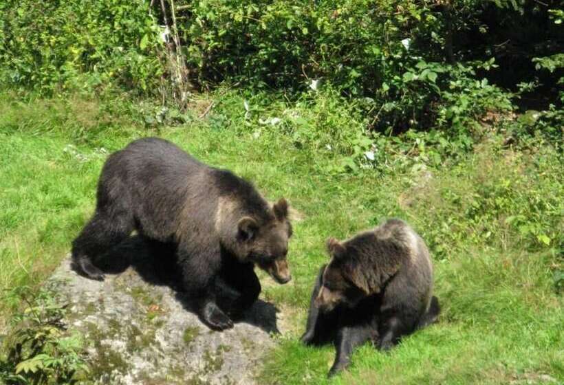 Отель Vitalesca