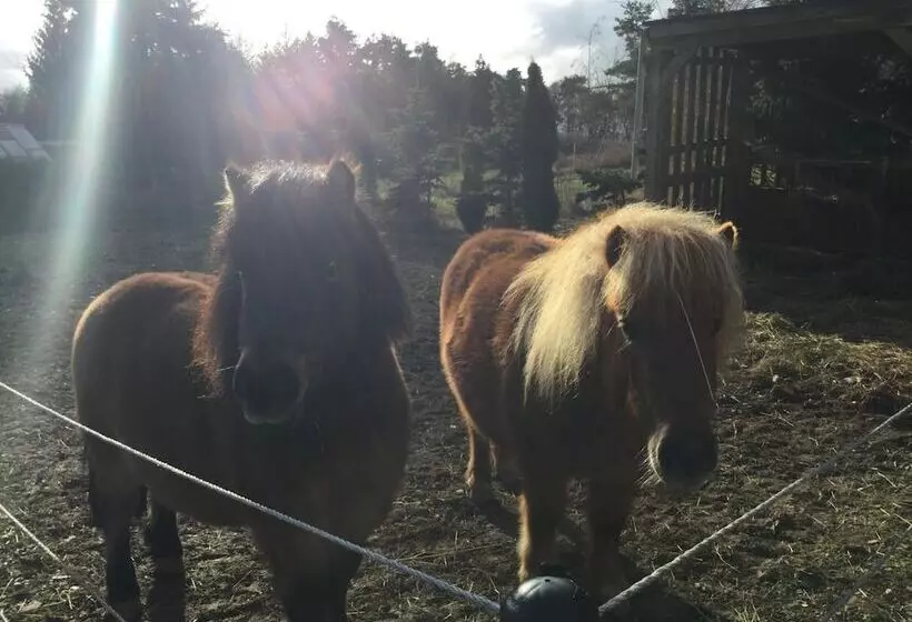 Отель Zu Jeddelohs Lodge