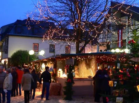 Отель Zur Rheinschanz