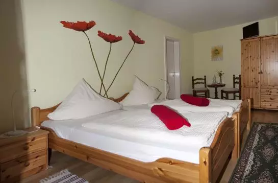 Отель Zur Rheinschanz