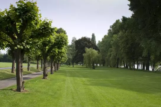 Отель Zur Rheinschanz