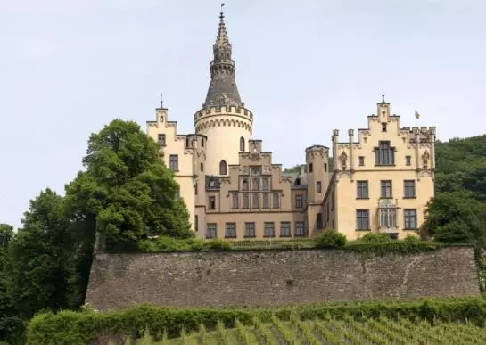 Отель Zur Rheinschanz