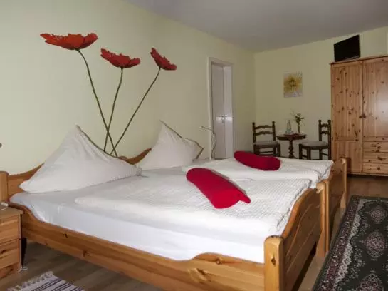 Отель Zur Rheinschanz