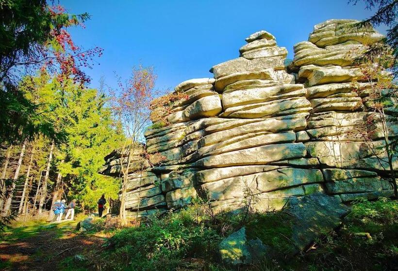 Meister Bär Hotel Am Wald