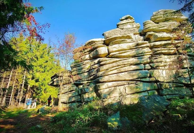 Meister Bär Hotel Am Wald