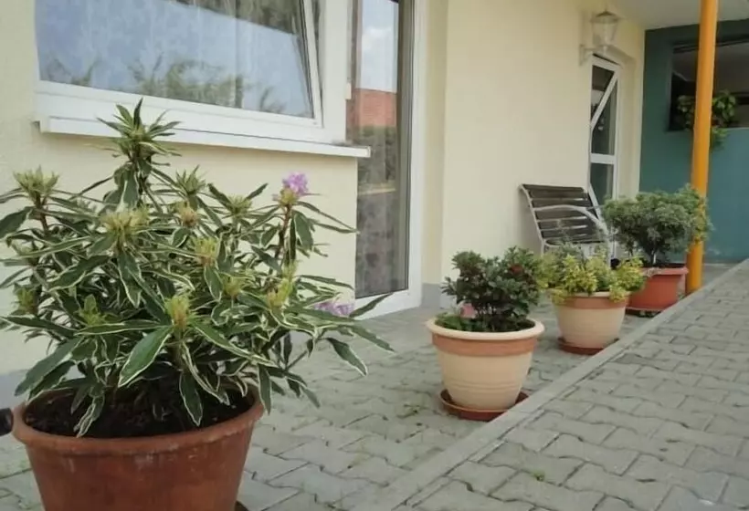 ペンション Landgasthof Traube