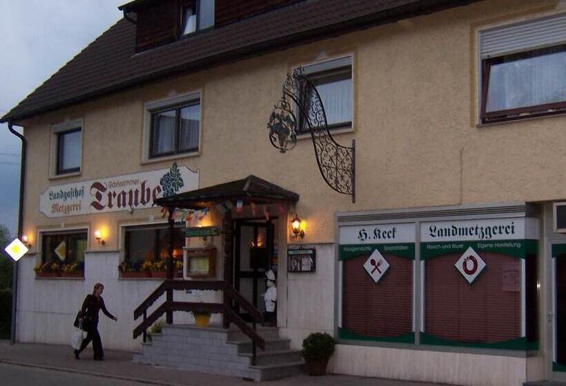 بنسيون Landgasthof Traube
