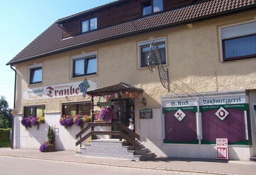 بنسيون Landgasthof Traube