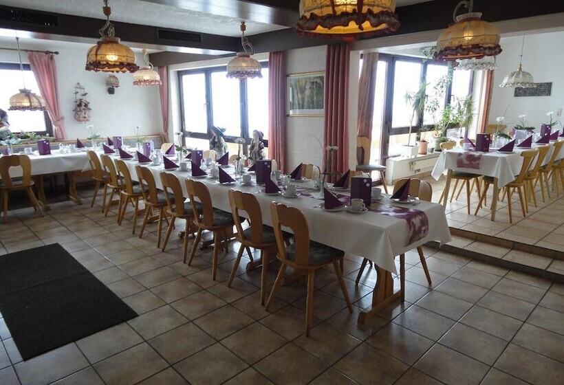 بنسيون Landgasthof Traube