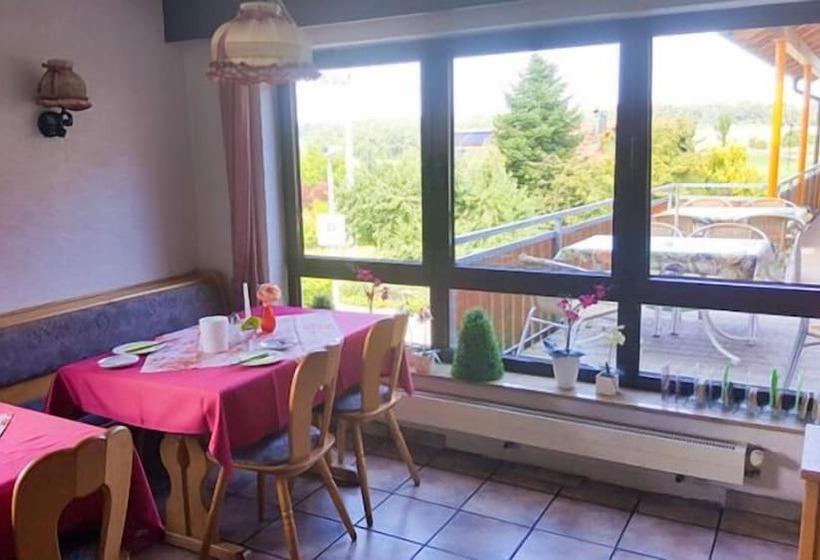 بنسيون Landgasthof Traube